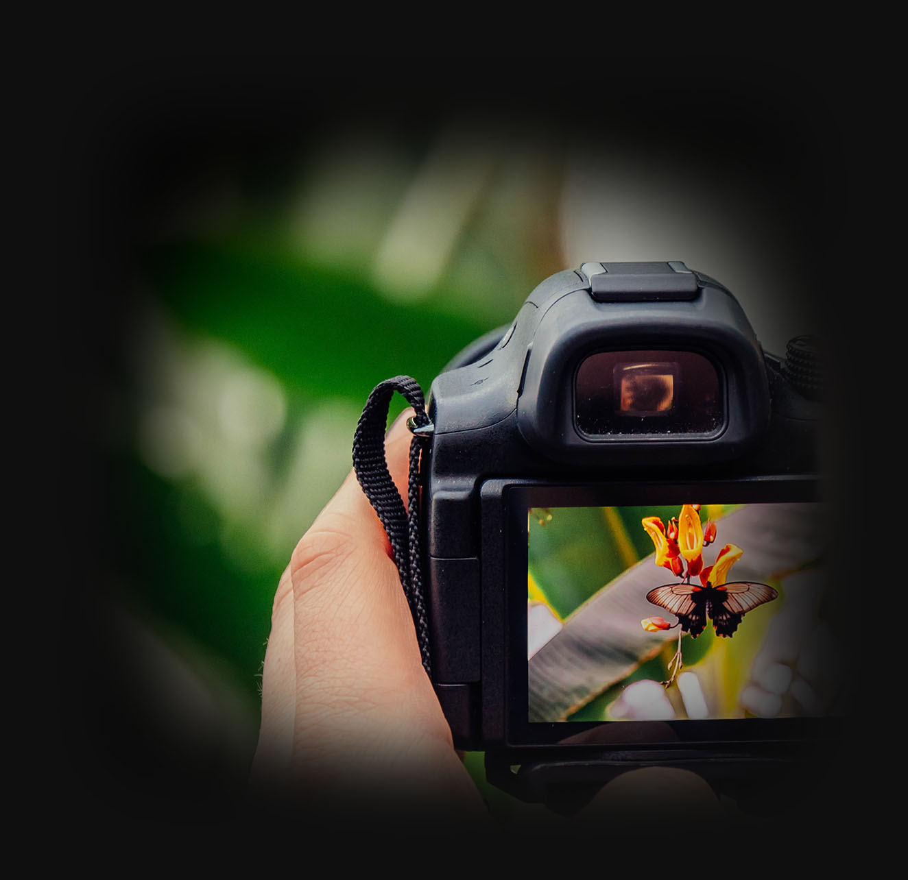 Header_image – 1