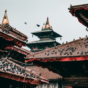 red-and-brown-temple-roofs-2104882