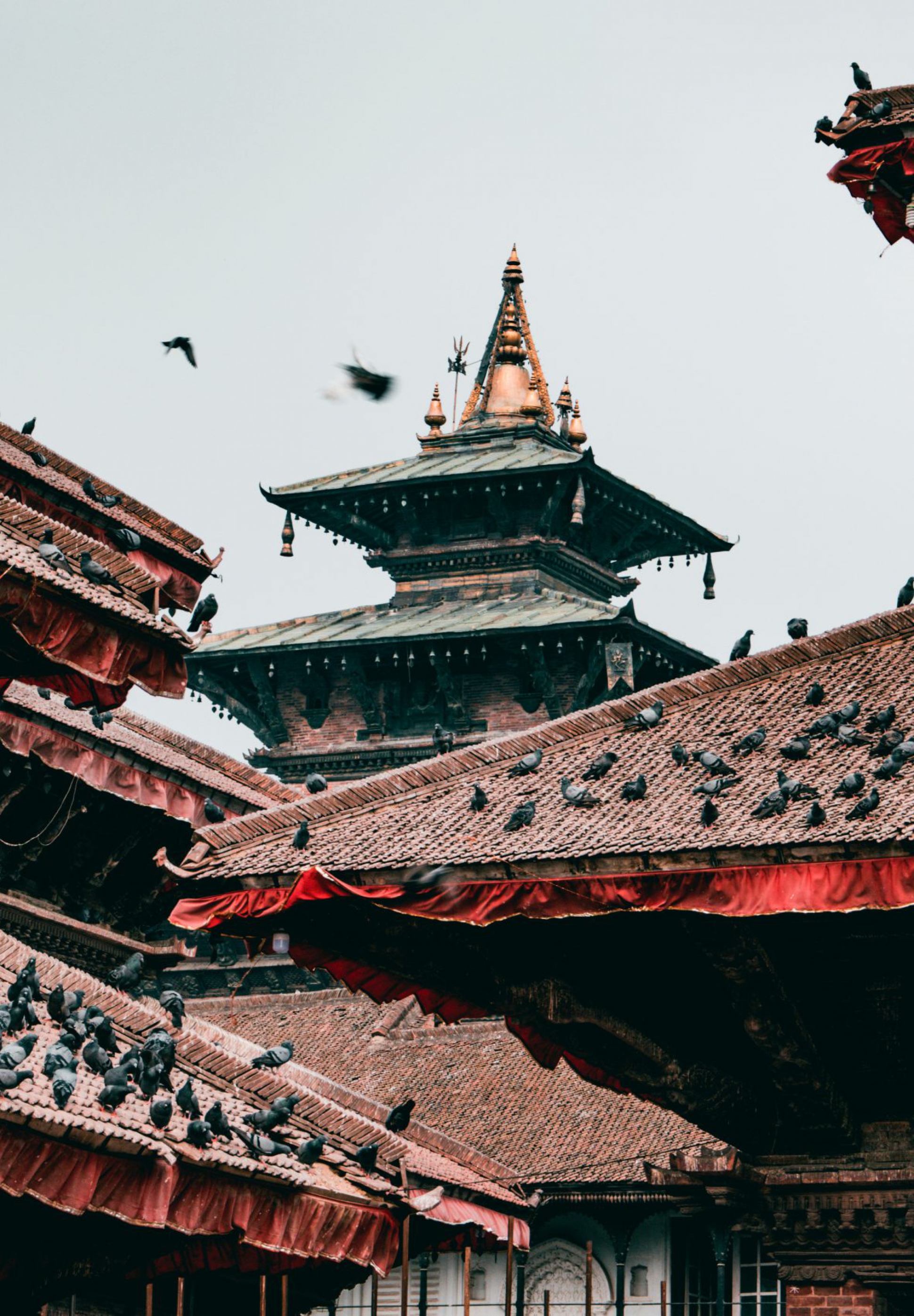 red-and-brown-temple-roofs-2104882